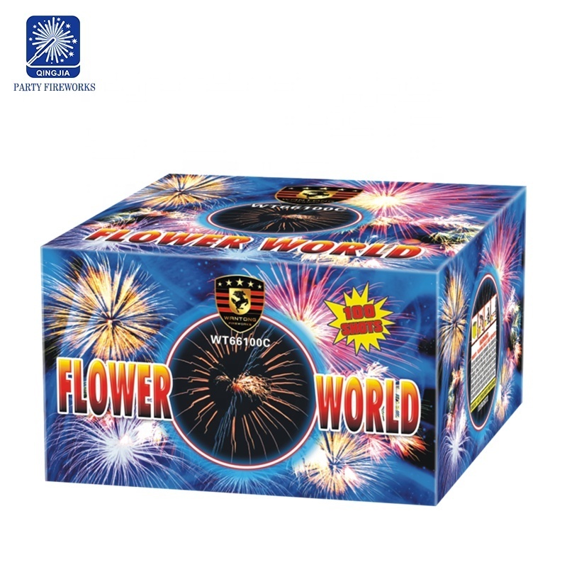 Liuyang factory supply multi shot class b cake fireworks