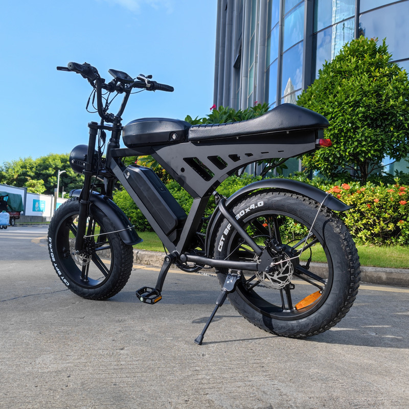 V30 Cheap Electric Bicycle Steel 48V 20