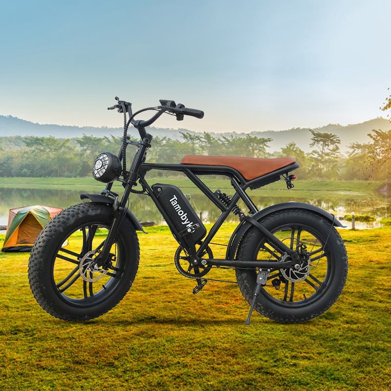 20 inches 750W 48V Electric Dirt Bikes Electric Fat Tire Bike Full Suspension Electric Bike