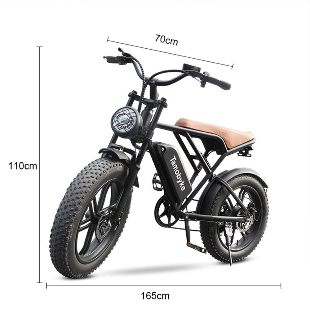 20 inches 750W 48V Electric Dirt Bikes Electric Fat Tire Bike Full Suspension Electric Bike