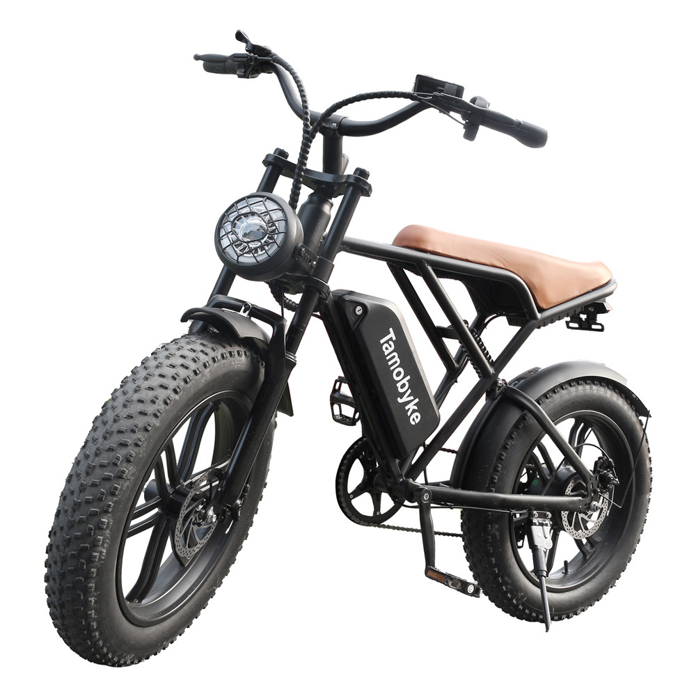 20 inches 750W 48V Electric Dirt Bikes Electric Fat Tire Bike Full Suspension Electric Bike