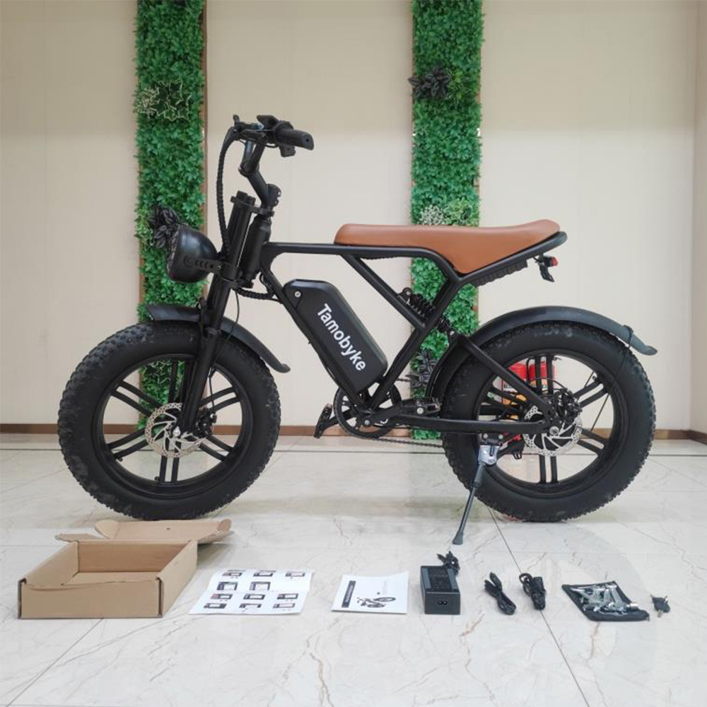 20 inches 750W 48V Electric Dirt Bikes Electric Fat Tire Bike Full Suspension Electric Bike