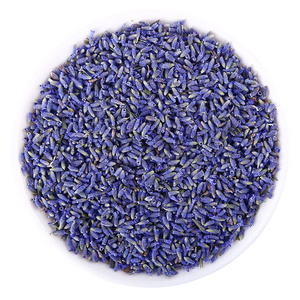 High Quality Dried Lavender Buds Wholesale Purple Health Product Dry Flower Fragrance Tea Drinks Jiangsu Province of China 2 Kg