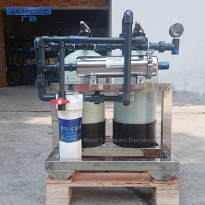 Domestic water filter/whole house central water softener