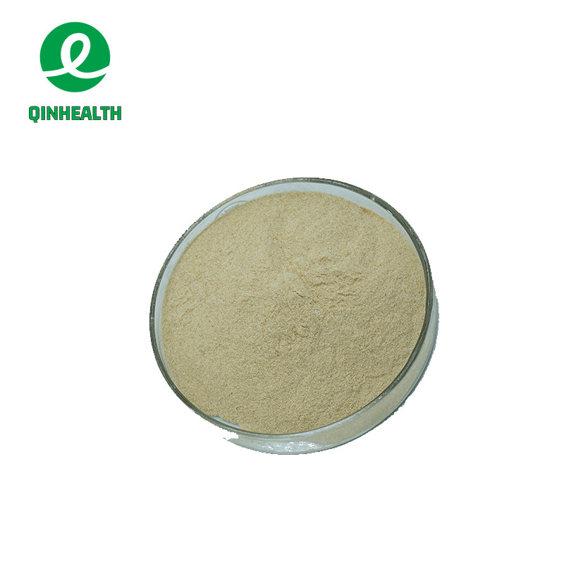 Wholesale  Bamboo Leaf Extract Flavonoid Bamboo Leaf Extract Powder