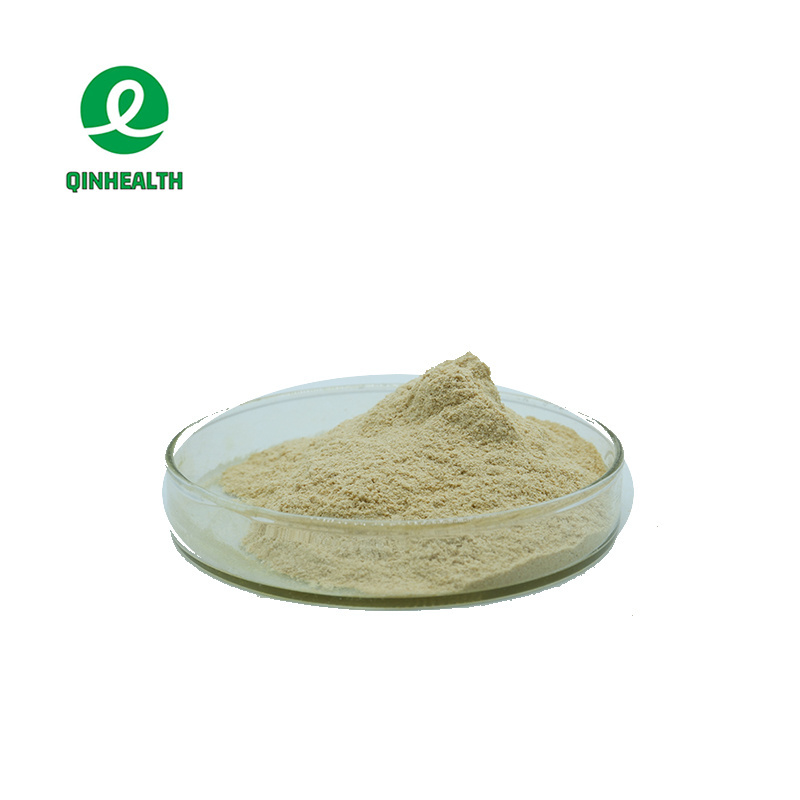 Wholesale  Bamboo Leaf Extract Flavonoid Bamboo Leaf Extract Powder