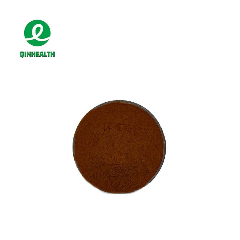 Hot Selling Food Grade Cocoa Extract Powder