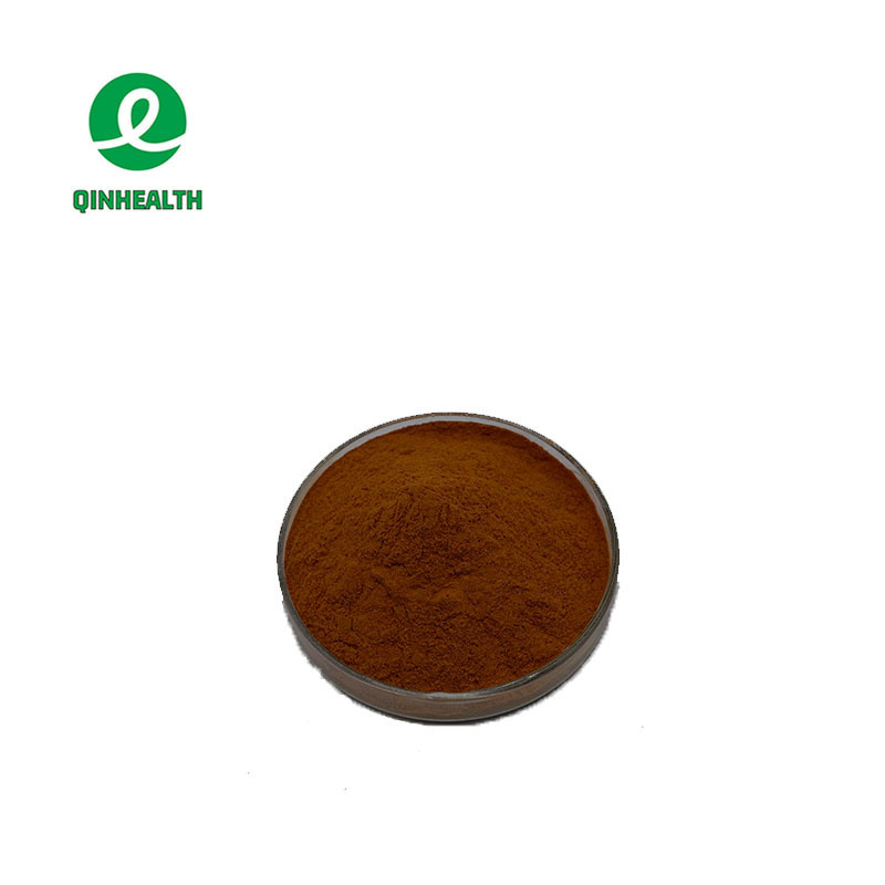 Hot Selling Food Grade Cocoa Extract Powder