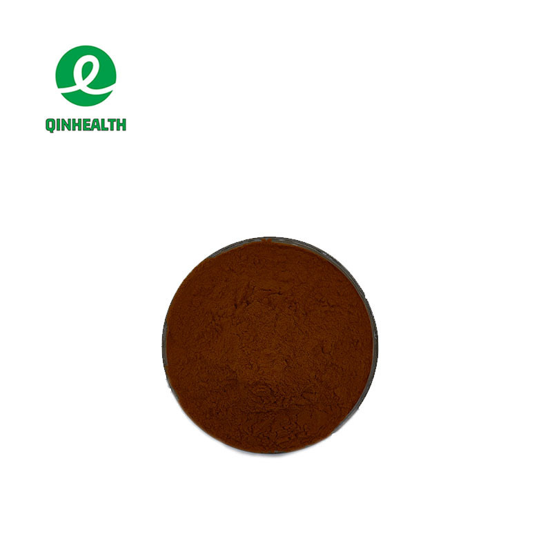 Hot Selling Food Grade Cocoa Extract Powder