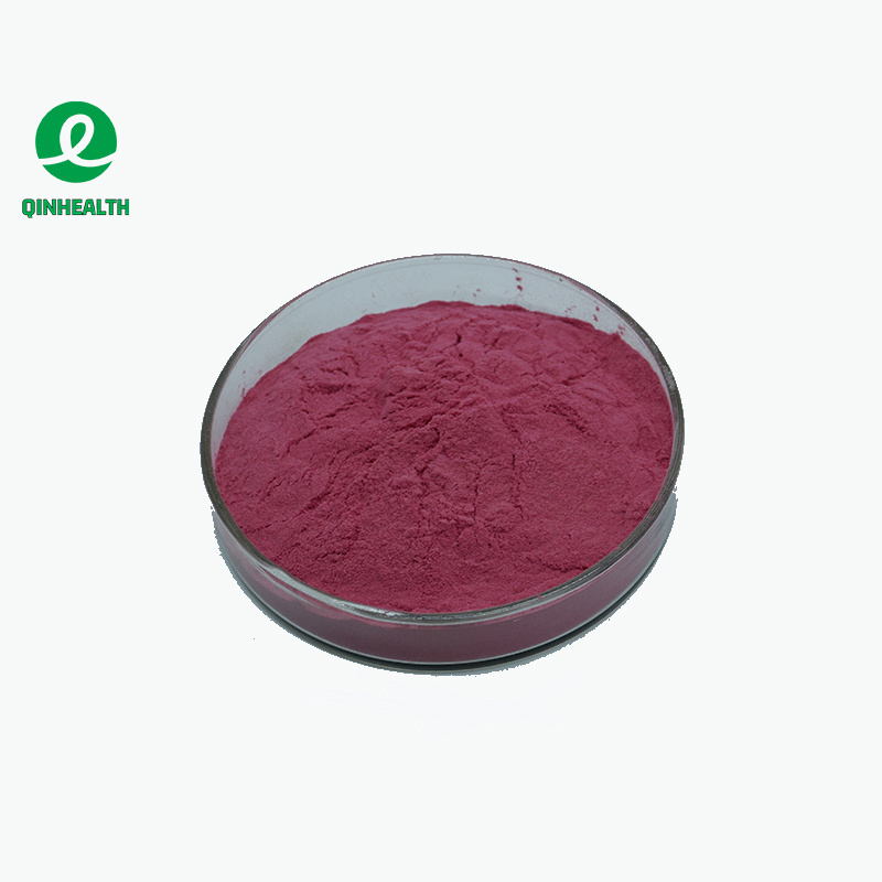 Supply Black Chokeberry Powder Aronia Berry Powder