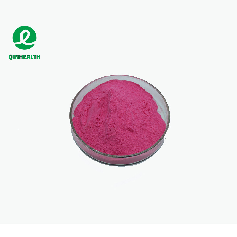 Supply Black Chokeberry Powder Aronia Berry Powder