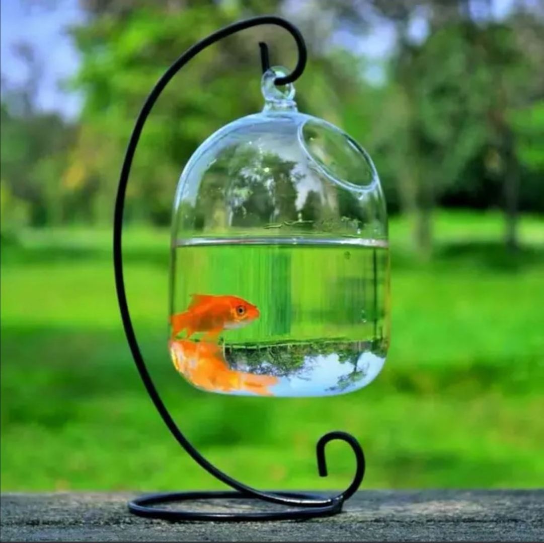 Desk Hanging Fish Tank Glass Betta Fish Bowl with Stand,Mini Table Aquarium Tanks Decorations for Office Home Decor