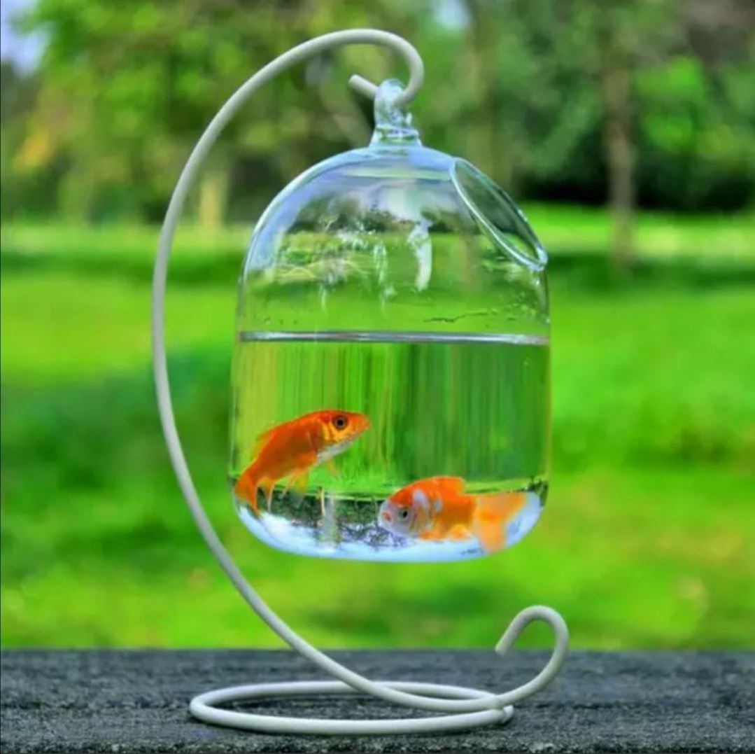 Desk Hanging Fish Tank Glass Betta Fish Bowl with Stand,Mini Table Aquarium Tanks Decorations for Office Home Decor