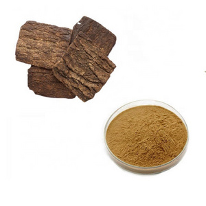 Herbal Plant Extract Eucommia Ulmoides Bark Extract Organic Eucommia Ulmoides Oliver 10:1 Bulk Extract Powder