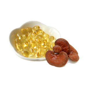 Triterpene 15% Ganoderma Lucidum Reishi  Mushroom Spore Oil Extract Capsules