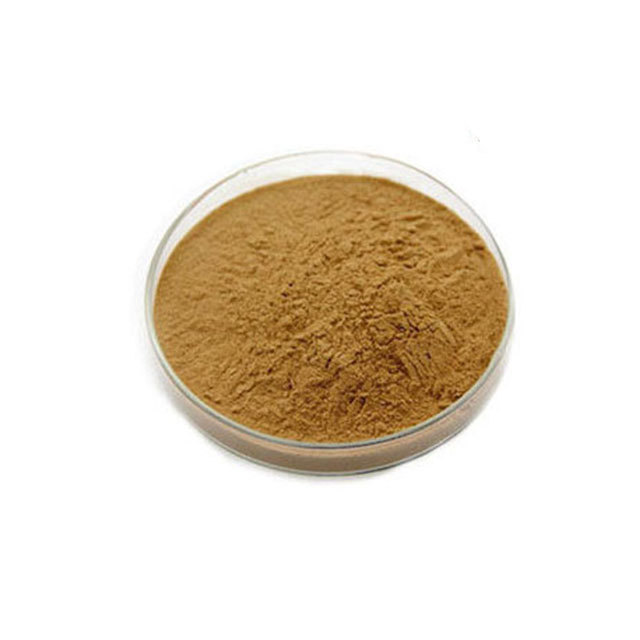 Herbal Plant Extract Eucommia Ulmoides Bark Extract Organic Eucommia Ulmoides Oliver 10:1 Bulk Extract Powder