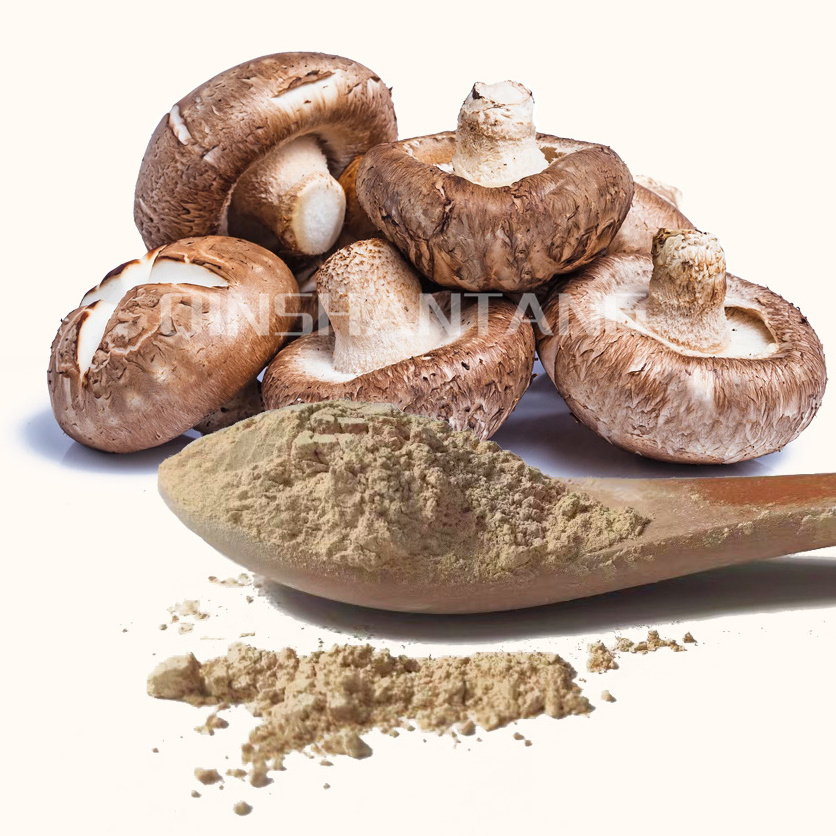 QST-022 100% Pure Supplement Extract Bulk Shiitake Private Label Shitake Mushroom Extract Powder