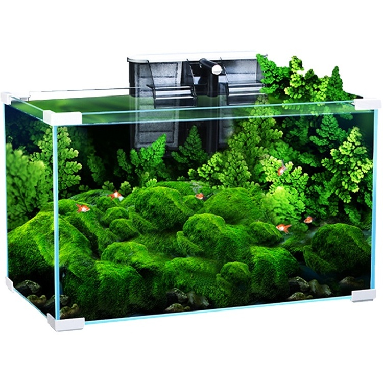 60 gallon large open crystal ultra-white glass fish tank landscaping coral breeding aquarium viewing fish tank