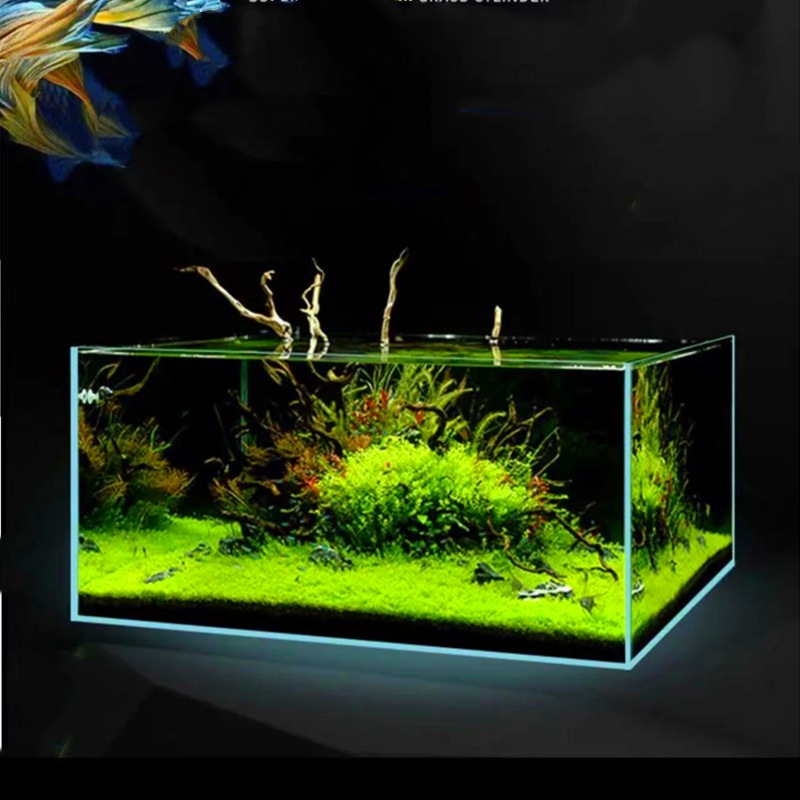 60 gallon large open crystal ultra-white glass fish tank landscaping coral breeding aquarium viewing fish tank