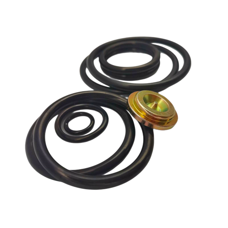 Rubber Seal Tools for Oil Valve #20 Short Stroke Kit Black NBR FKM Rubber Redress Kits with Different Materials