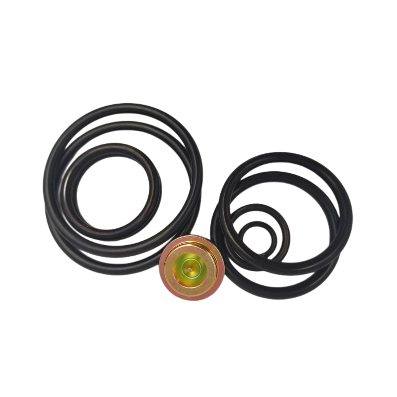 Rubber Seal Tools for Oil Valve #20 Short Stroke Kit Black NBR FKM Rubber Redress Kits with Different Materials