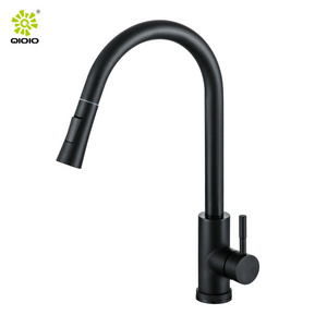 Modern Mixer Tap For Kitchen Sink Pull-out Sprayer Spout Head 304 Stainless Steel Faucet Kitchen Mixer