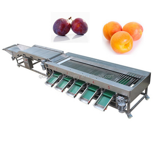 Wholesale Price Cherry Tomatoes Citrus Lemon Passion Fruit Mango Dragon Fruit Cherry Sorter Classifier