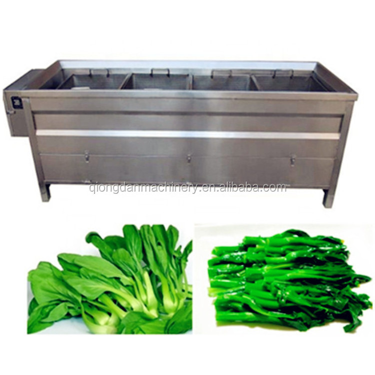 Pure Steam Blanching Machine fruit lettuce leeks seafood vegetable blanching machine for Food and Vegetables For Sale