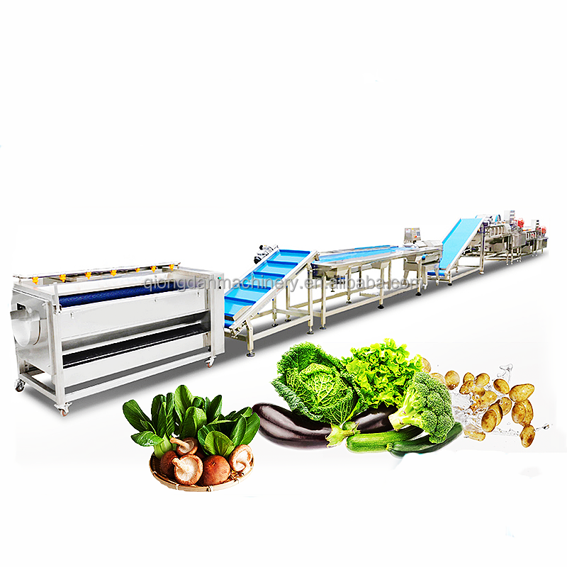 Industrial big capacity 1000-1500kgh frozen vegetable and fruits machine frozen vegetable production line processing plant