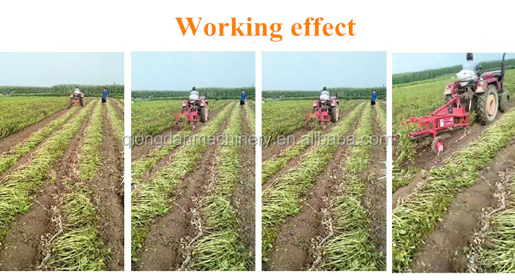 Tractor peanut garlic ginger single row potato harvester machinery small sweet potato digger