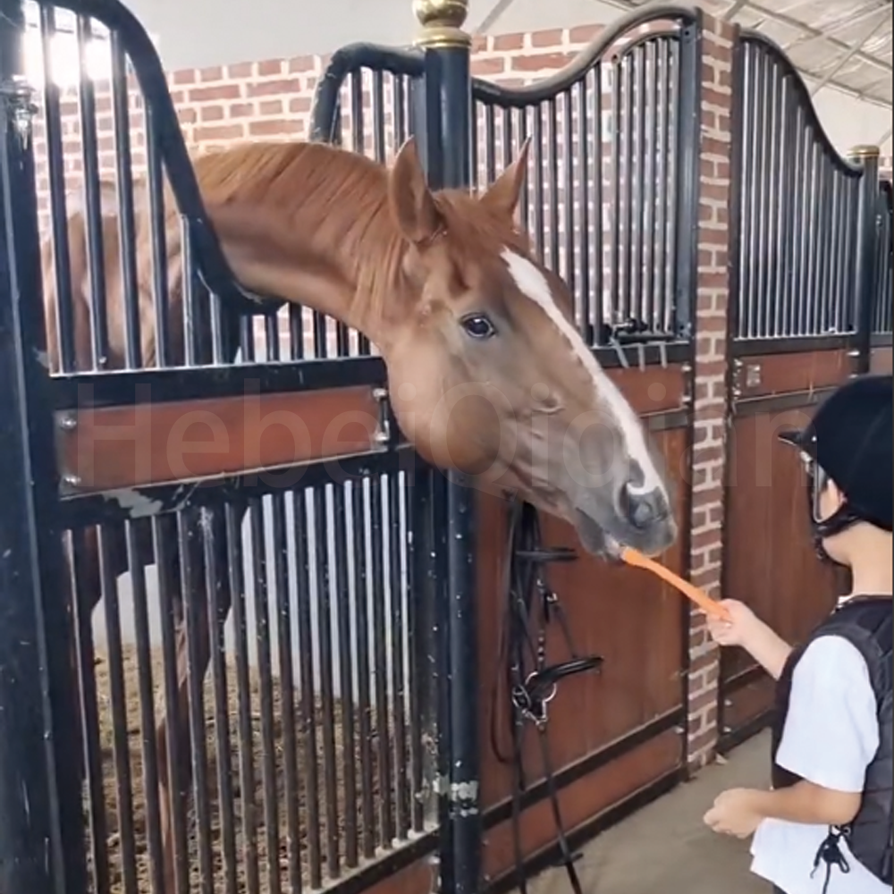 Luxury Horse Stall Horse Stable With Sliding Door Classic Equine Stall Fronts Galvanized Horse Stall Equipment