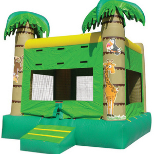 Giant inflatable bounce house combo inflatable bouncy castle with water slide pool