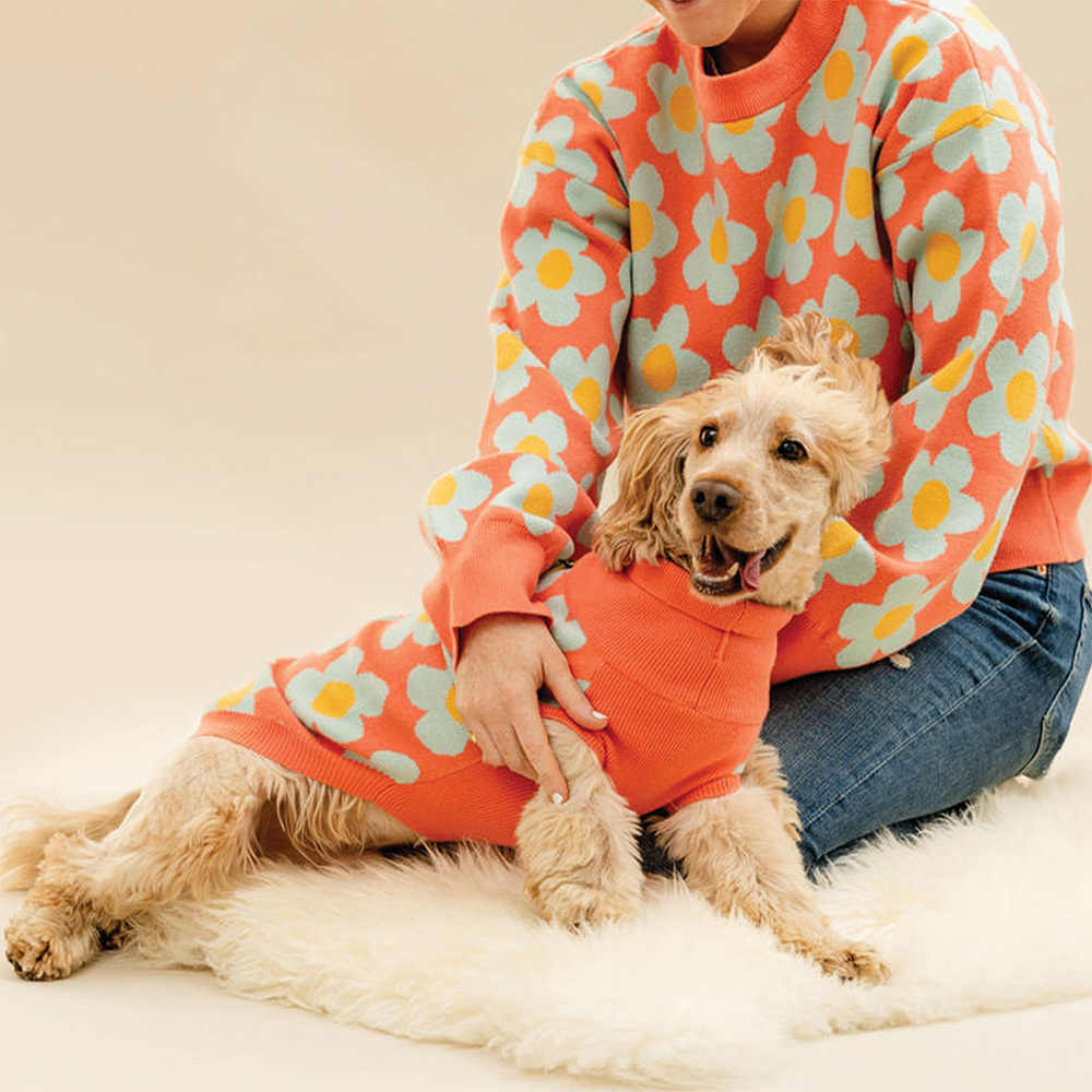 Qiqu Pet Supplies Custom New Designer Matching dog and Owner Clothes Pet Dog Sweater puppy Jersey Turtleneck Jumper for dogs