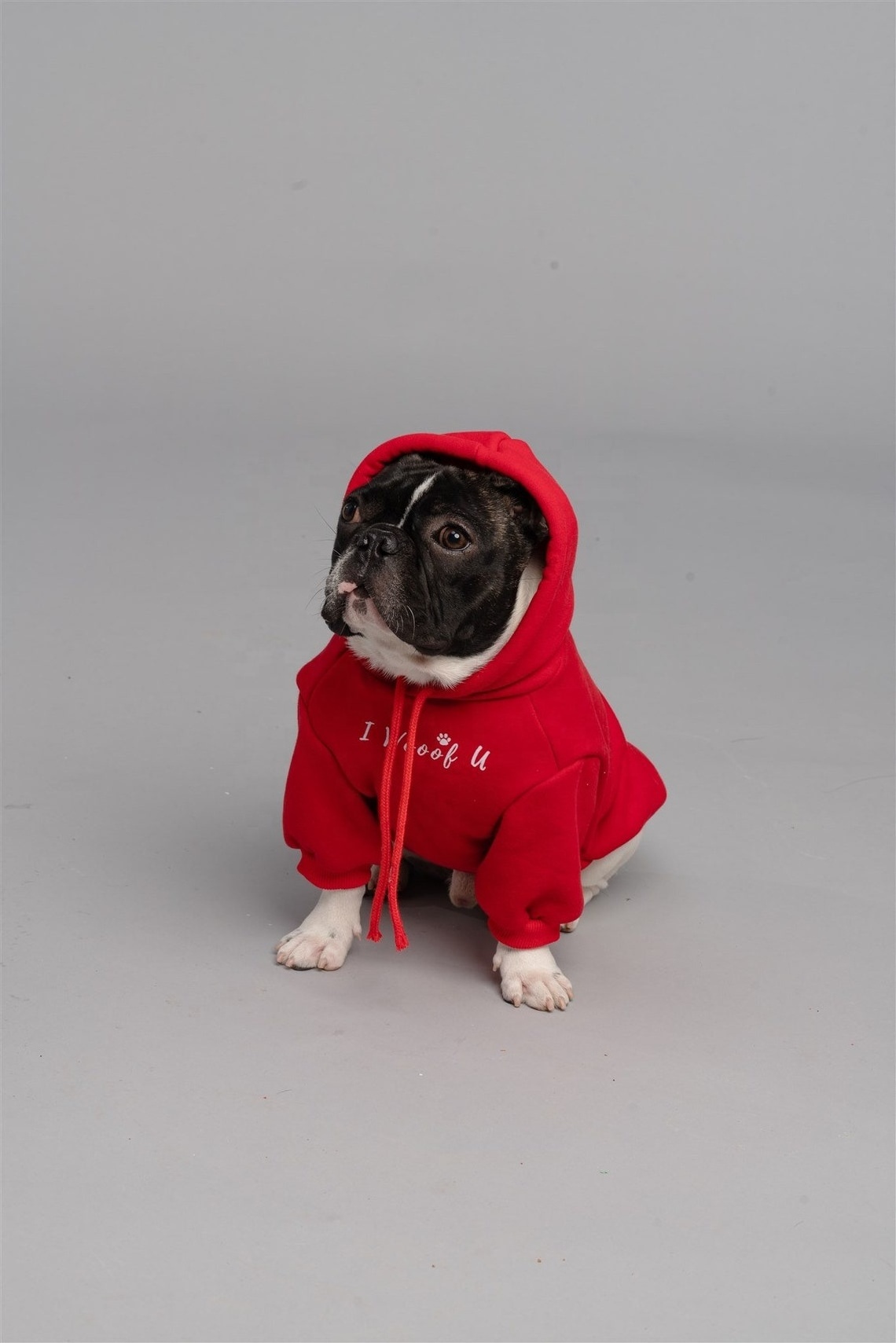 Qiqu Pet Supplies Custom New Designer Small French Bulldog Clothes dog apparel clothes accessories and Clothing outfits costume