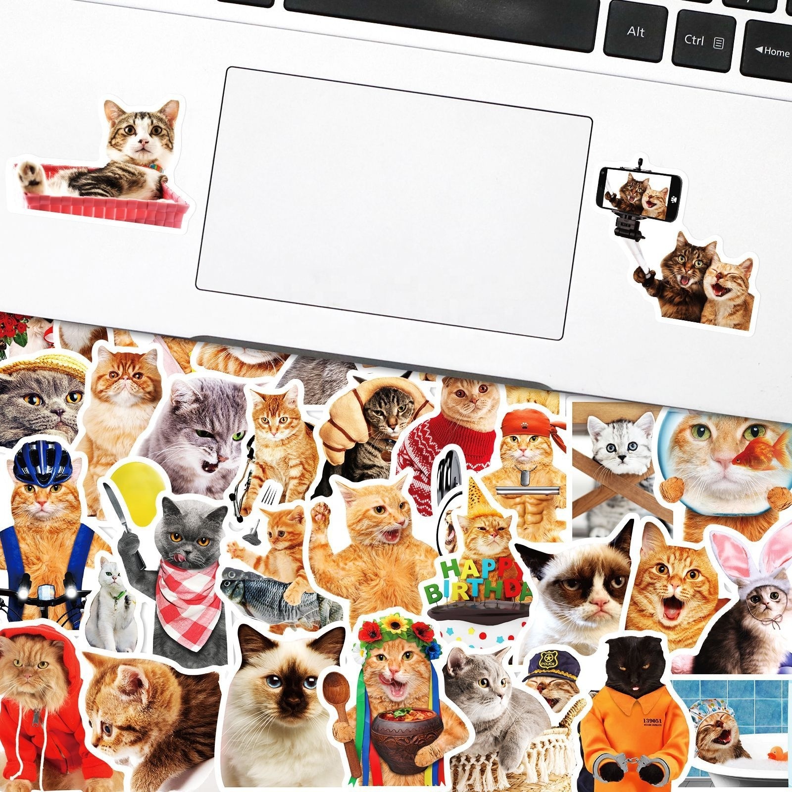 50Pcs Realistic Animal Cat Stickers For Children Kids Home Table Fridge Bottle Wall Luggage Laptop Phone Sticker Decals