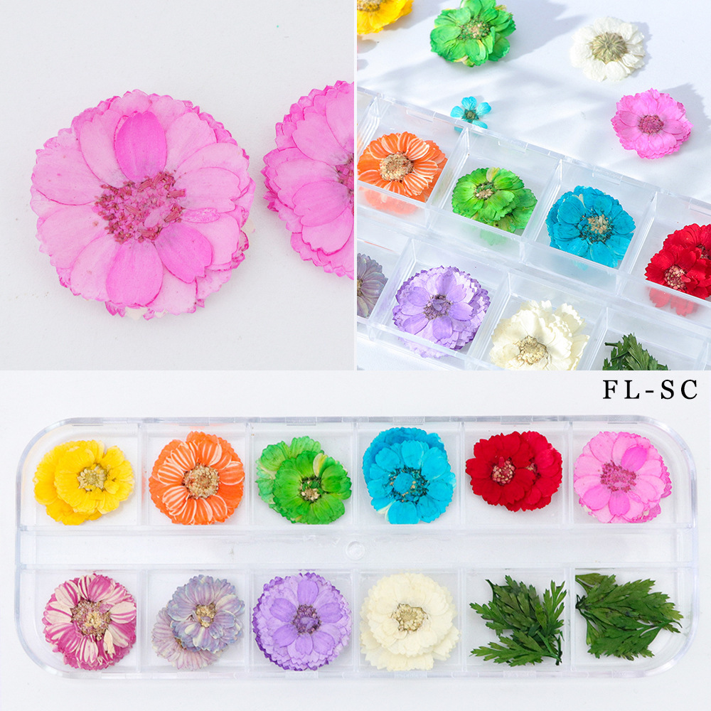 Dried Flowers Nail Decorations Natural Floral Sunflower Daisy Stickers 3D Nail Art Designs Polish Manicure Accessories