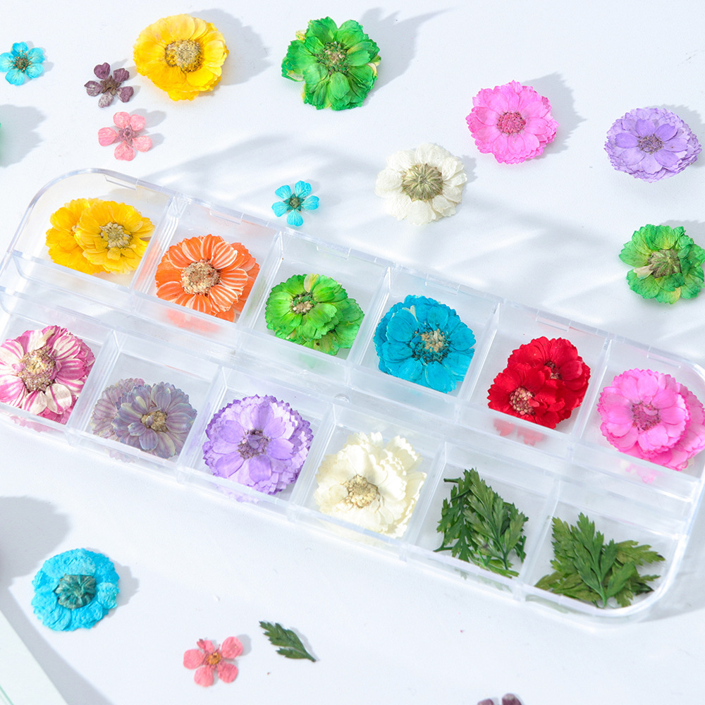 Dried Flowers Nail Decorations Natural Floral Sunflower Daisy Stickers 3D Nail Art Designs Polish Manicure Accessories