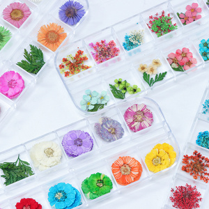 Dried Flowers Nail Decorations Natural Floral Sunflower Daisy Stickers 3D Nail Art Designs Polish Manicure Accessories