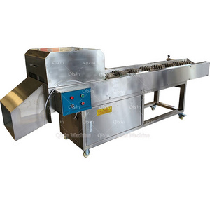 Fresh corn sweet corn cutting machine fruit vegetable segment cutter short pieces cutting machine