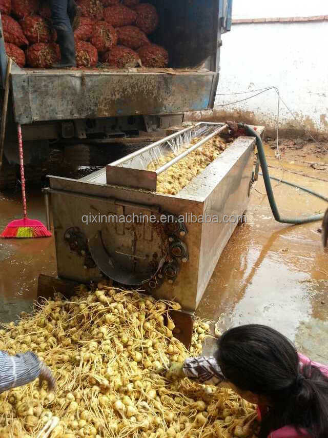 ginger peeling machine/onion peeling machine/potato peeling machine