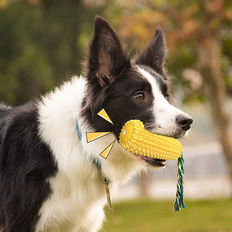 Custom Squeak Dog Chew Toy Treat