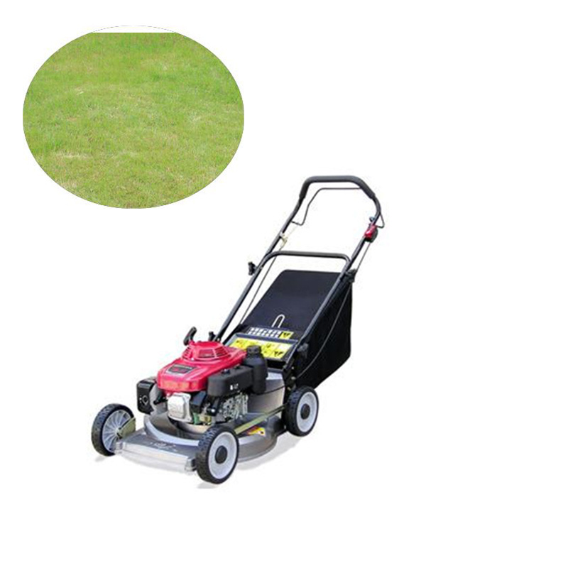 Gasoline self-propelled lawn Rice transplanter garden mechanical mower hand propelled lawn machine