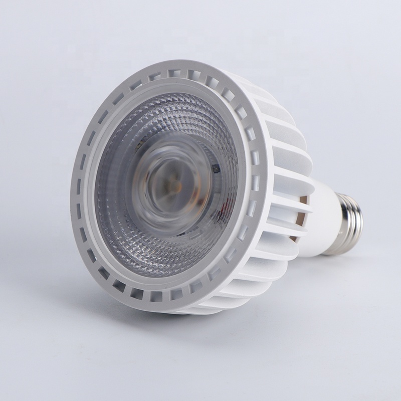 30w par30 led bulb Lamp par38 led Lights 110v 220v 24v 12v par30 bulb