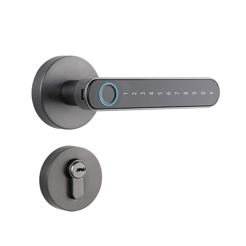 S604L Tuya BLE Biometric Fingerprint Door Lock Password Keyless Entry Door Knobs Lock Smart Handle Lock