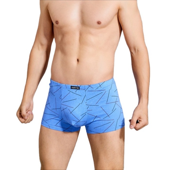 Young Men Boxer Briefs High Elastic Printed Cotton Underwear