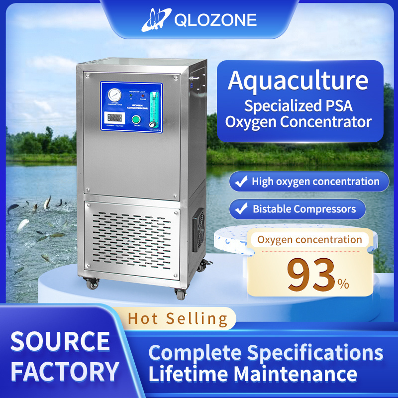 Qlozone China Factory Price Industrial PSA Oxygen Generator Concentrator 10 Liter