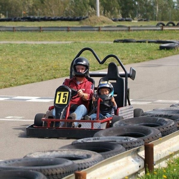 Gas go karts 2 seater two seater go karts for sale go kart for adult