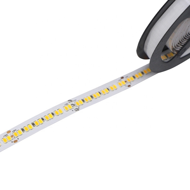 double color smd 2835 led strip light 120 240 leds 60d flexible ip65 10mm 20W ip20 DC24V customized 2024 WW+CW 2700K+6500K