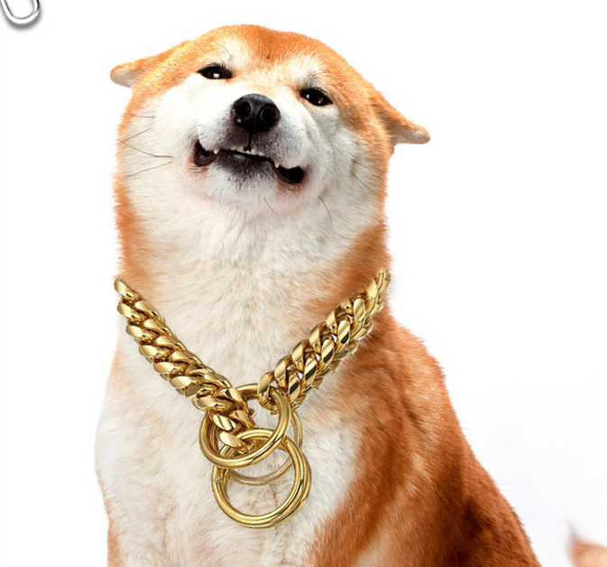 TTT Hot Sale Customized Processing Stainless Steel P-Chain Gold Dog Training Collar Chain for Pet