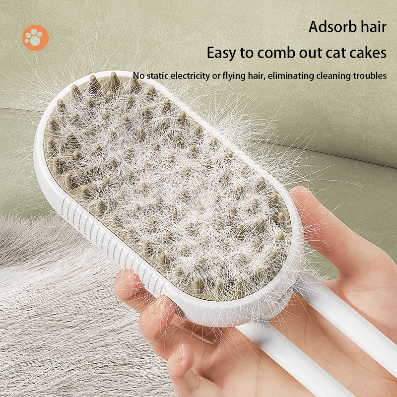 TTT Pet Care Product Plastic Rechargeable Portable Pet Hair Removal Combs Cat Automatically Grooming Steam Brush for Pet